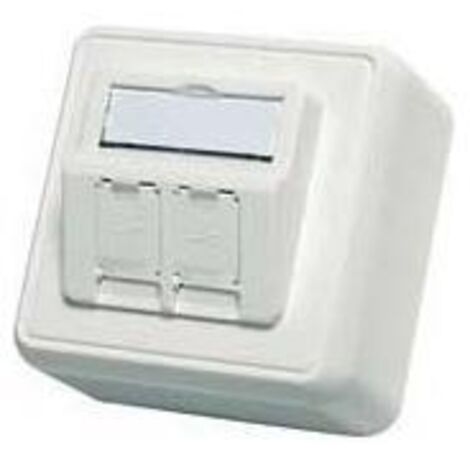 Telegärtner Modul-Aufnahme AP 80x80 2fach aws leer 100021382