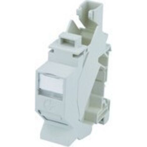 Telegärtner Tragschienenverbinder TS45 Modul Cat6A T568B 100023004