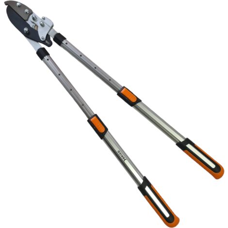 Teleskope Aluminium Lane Truncarami mit Swing Lama und Brixo Telescopic Force Multiplikator