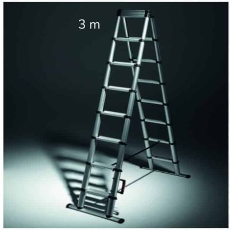 Échelle télescopique Telesteps Eco Line 3,8 m avec barre stabilisatric -  Ladder-Steiger