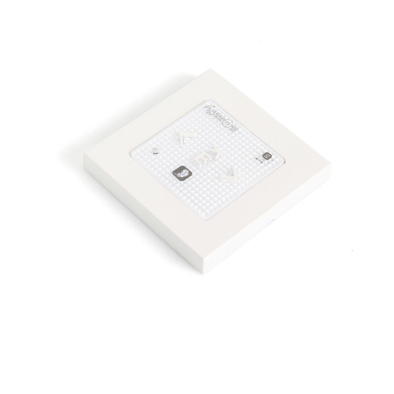 Somfy - Télécommande Smoove Origin RS100 io 1811719