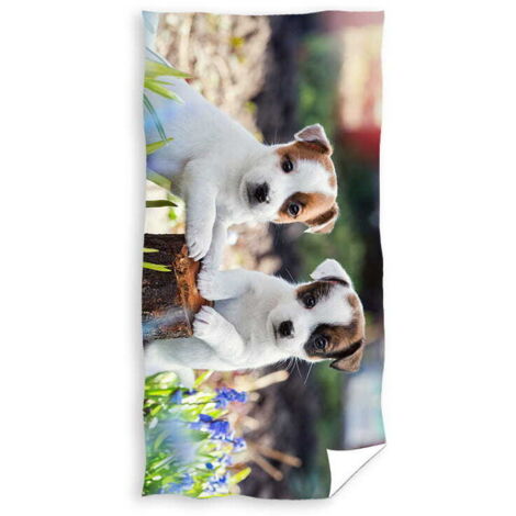 Telo da spiaggia CANI 70x140