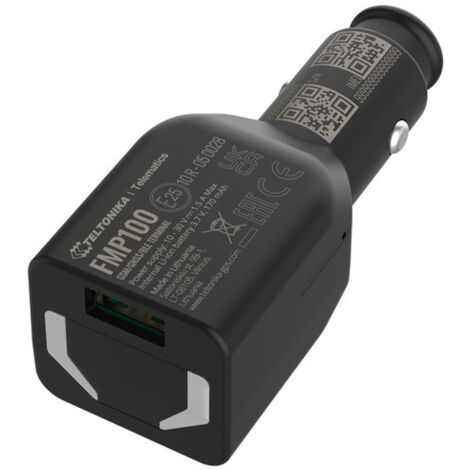 Teltonika FMP100 Auto Schwarz