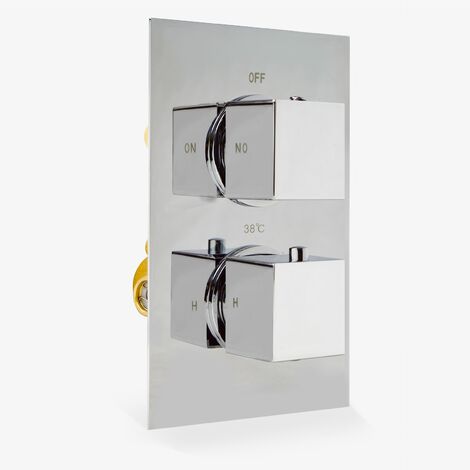 Shower valves