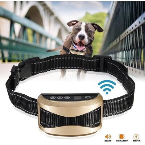 TEMPSA Collier Electrique Dressage Anti Aboiement Pour Chien Chat Etanche Rechargable