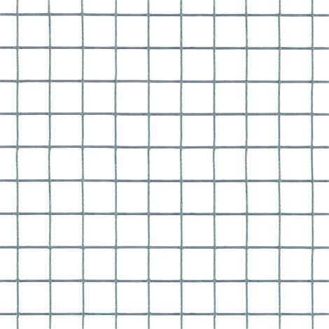 tenax QUADRAMET 20, Rete Metallica Zincata 1,00x5 m Argento per Gabbie e Recinti di Animali da Cortile (Polli, Conigli, Uccelli), Piccole recinzioni e Lavori Artigianali