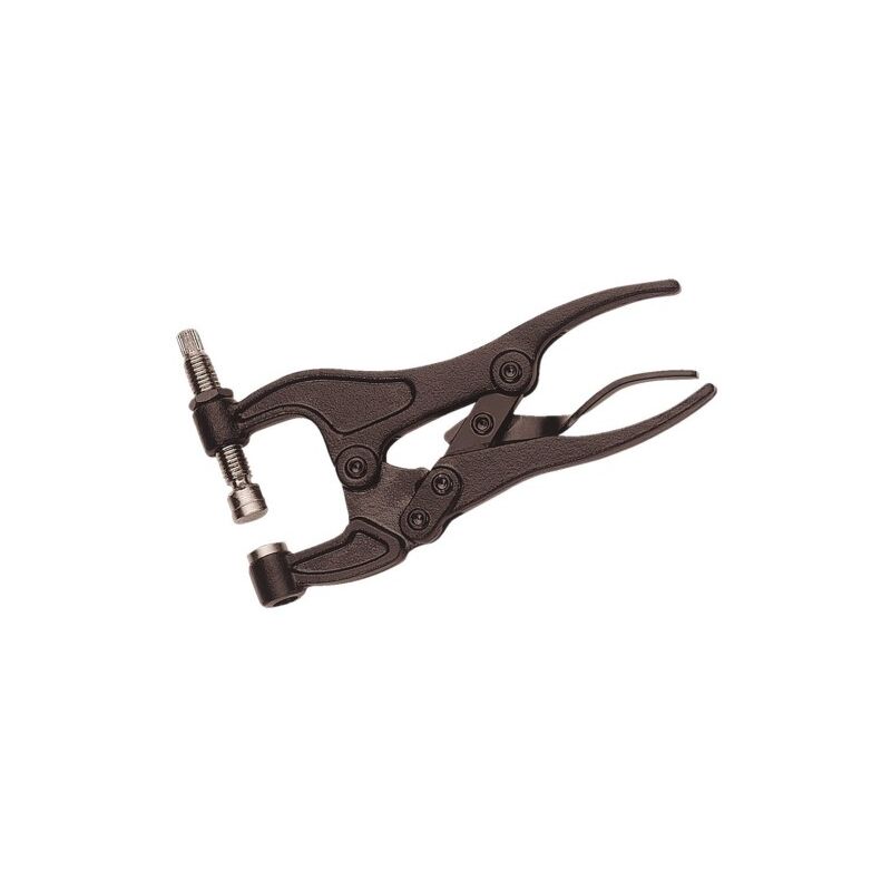 

Tenaza Articulada Rpi Botn 2949-250Ip