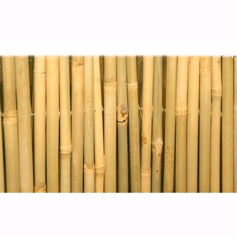 EAC Tenda Arella Master In Canna Di Bamboo Pulita Dimensione 200X300Cm