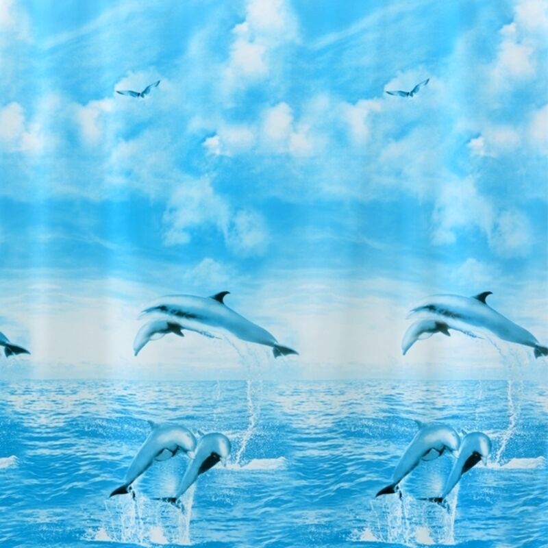 Una immagine