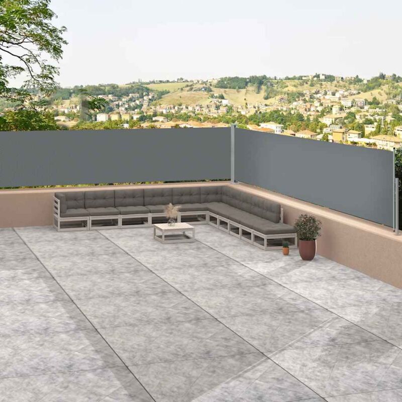 Vidaxl Tenda Laterale Retrattile Antracite 117x1200 Cm