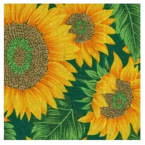 Tenda Zanzariera h250x150 cm con Girasoli Colori Assortiti