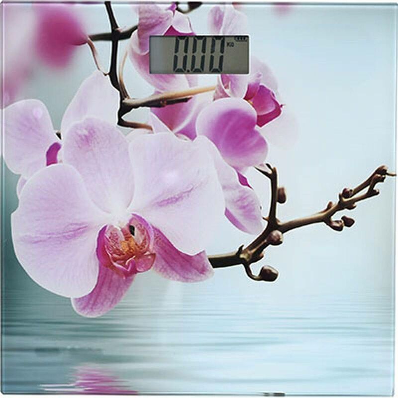 Balance electronique - stella - Tendance