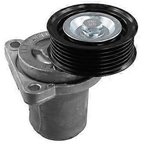 Tendeur de courroie de moteur, poulie de tension pour 6 2002-2012
