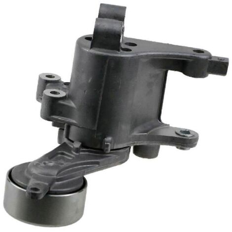Tendeur de courroie de voiture 166200L020 pour Dyna Fortuner