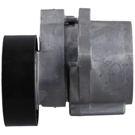 Tendeur de courroie de voiture 31251250 pour C70 S40 S60 S70 S90 V70