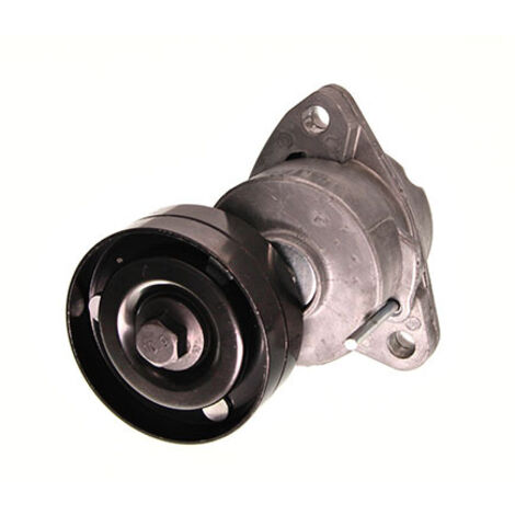 TENDEUR DE COURROIE POLY-RIB MAXGEAR OPEL