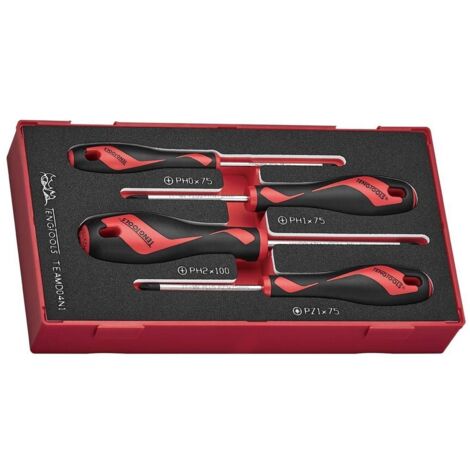 Teng Tools TEAMD04N1 Set mit 4 Kreuzschraubendrehern
