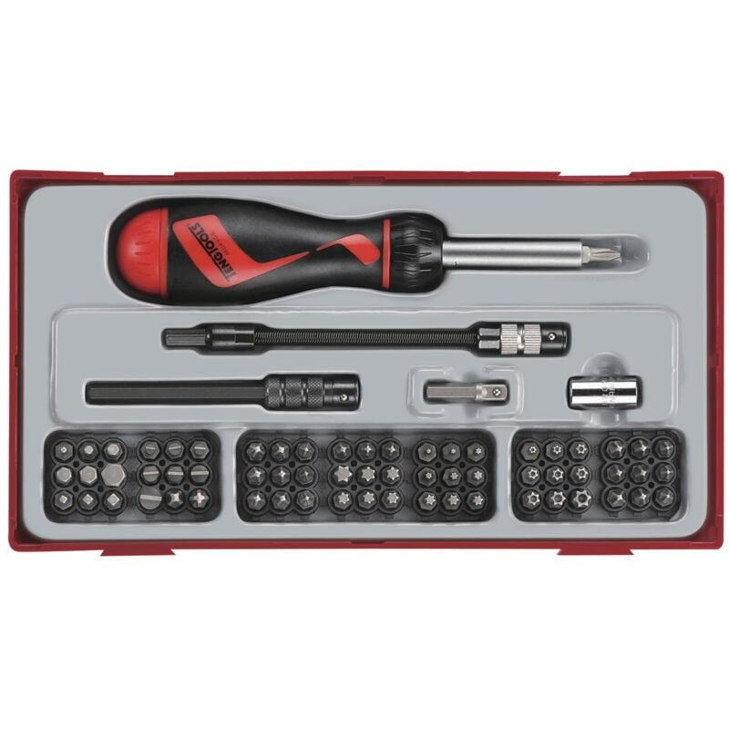 Jeu embouts avec tournevis à cliquet TT1 tray Plat- ph- pz- tx-- hex- tpx- square 74 pièces Teng Tools TTMD74