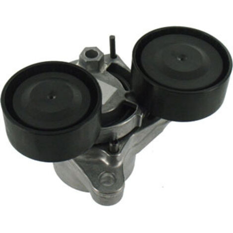 TENSOR DE CORREA ACANALADA SKF BMW E90/F20
