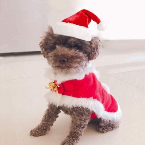 Tenues de Noël pour chiens, vêtements de Noël pour chats, costume de chien avec nœud