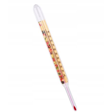 TERM脫METRO PARA PRODUCTOS CONSERVADOS 0掳C +100掳C