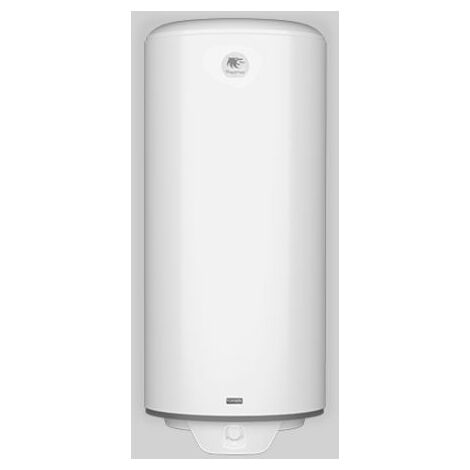 Termo eléctrico Thermor Ceramics 100 litros Premium 261132