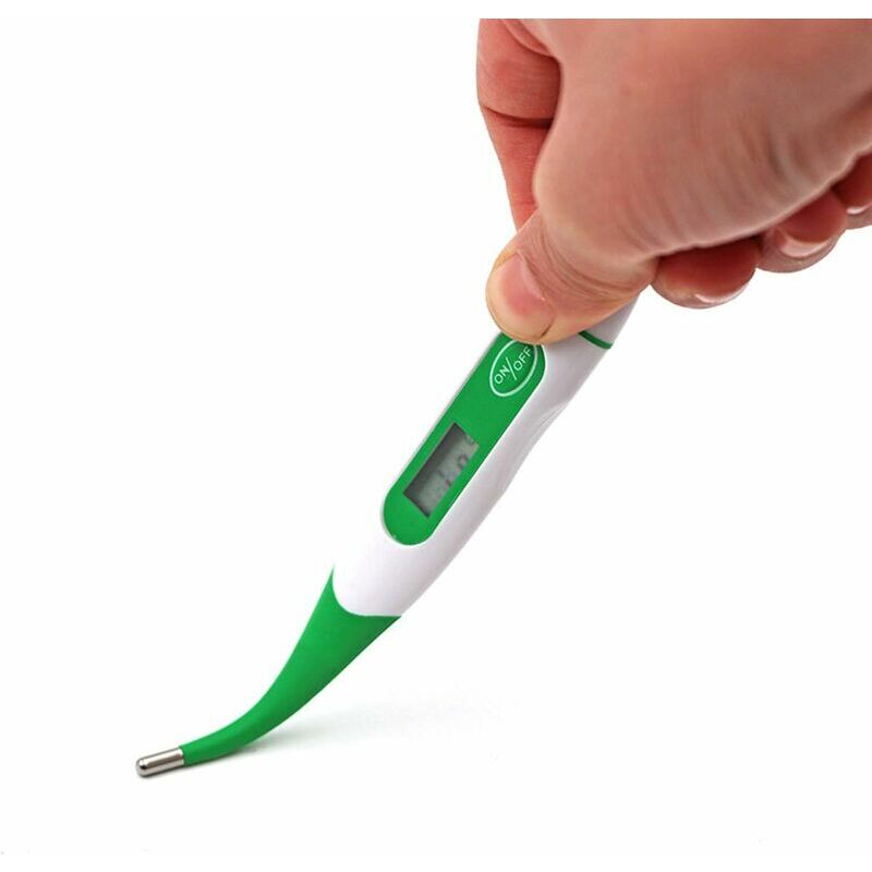 Termometro digitale con display a led per cane