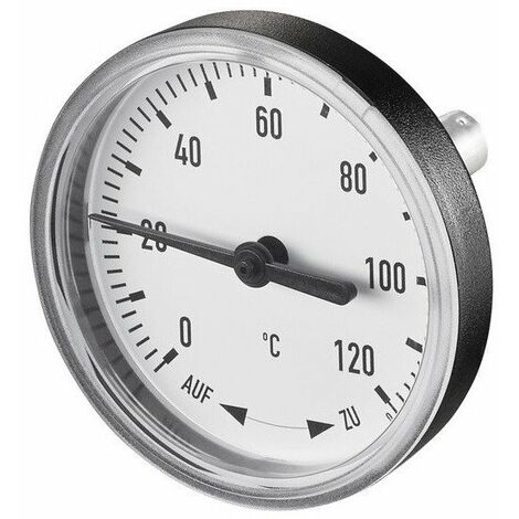 TERMOMETRO PER REGUSOL