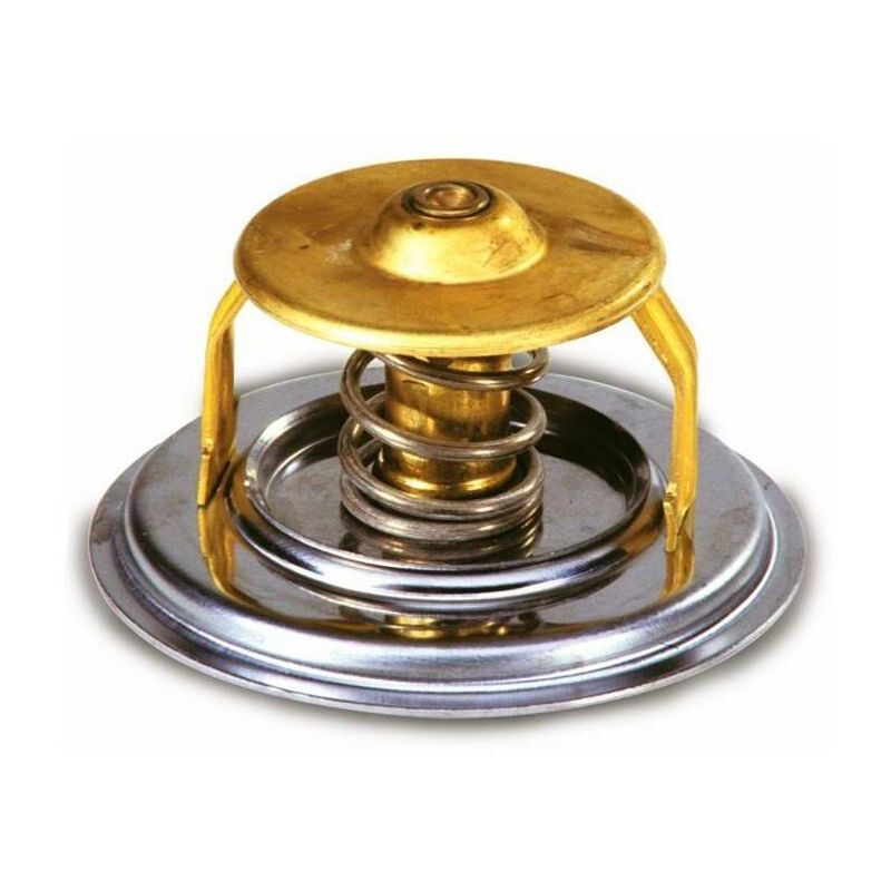 Termostato adattabile a rif. orig. Massey Ferguson...