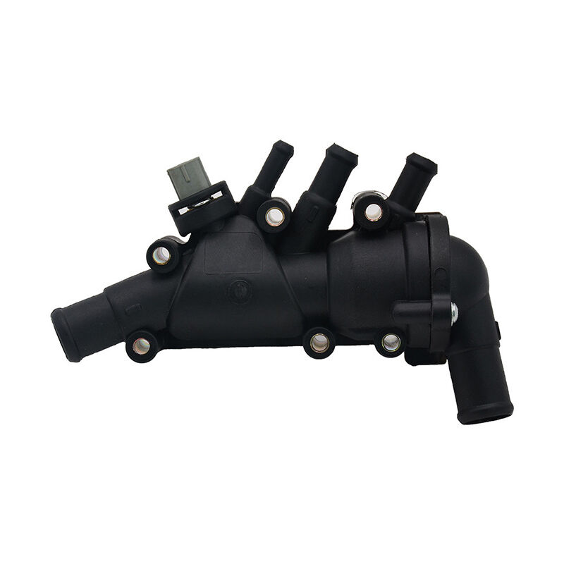 Termostato + alloggiamento + interruttore XS6E8