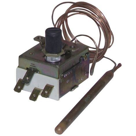 Termostato sicurezza acqua a bulbo capillare e reset manuale 90/110 LS1
