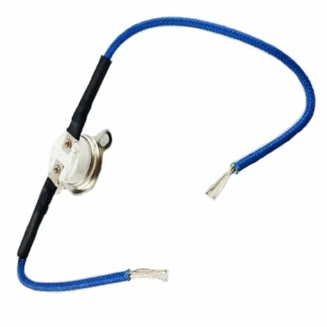 Termostato SS-188224 MOULINEX
