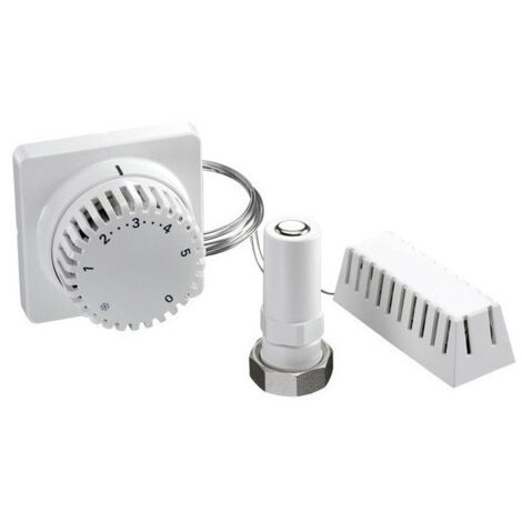 TERMOSTATO UNI SX CON COMANDO E LAMPADINA REMOTA 2m
