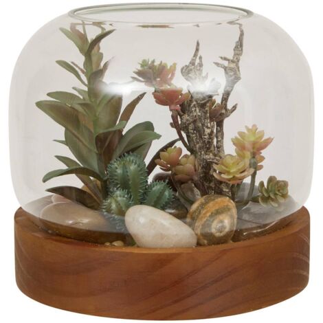 Terrario Wonj 15,7x14cm - Atmosphera créateur d'intérieur