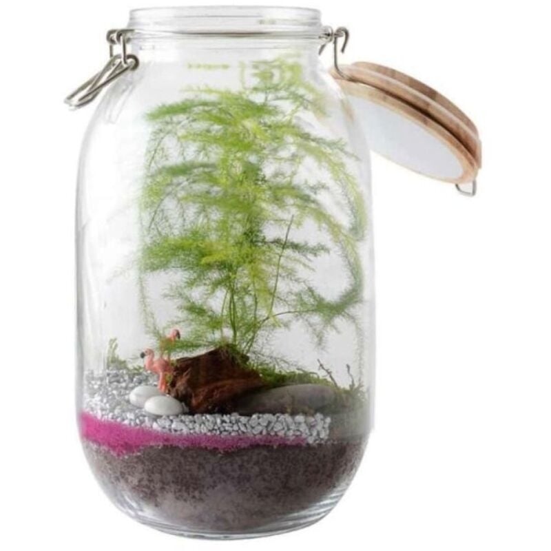 Radis Et Capucine - Terrarium à faire soi même - Fougères et Flamant rose