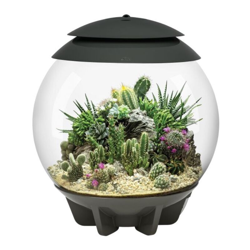 Biorb - Terrarium automatisé 30l gris - Oase - Air30grey