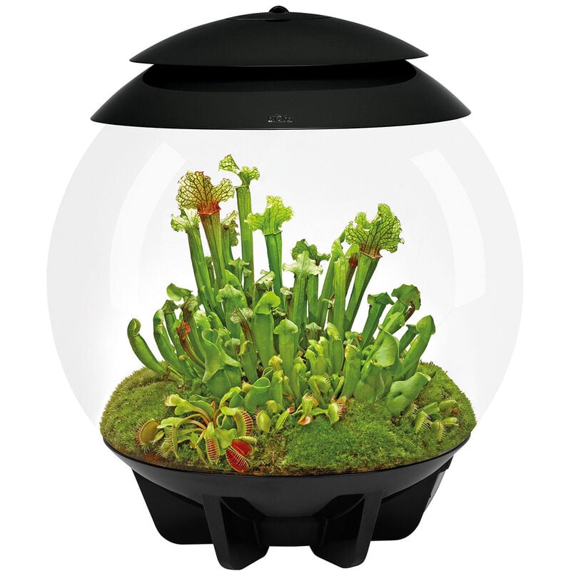Terrarium automatisé noir Oase Air 30 black