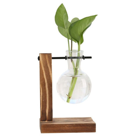 Terrarium de Bureau pour Plantes de Station de Propagation de Plantes, JardinièRe en Verre avec Support, Station de Propagation pour Plantes