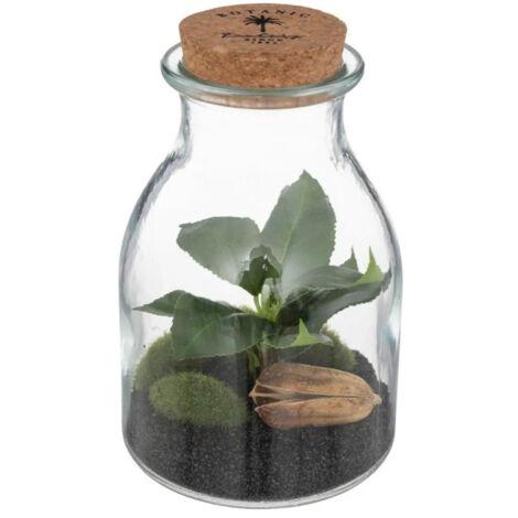 Terrarium en Verre "Bota" 19cm Transparent