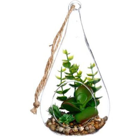 Terrarium en verre, Forme Goutte H19.5 cm - Succulente - SILUMEN