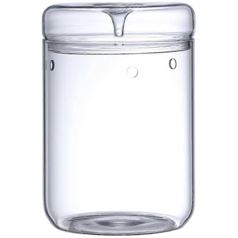 Terrarium en verre micro-paysage avec couvercle récupérateur de rosée, Bonsaï L