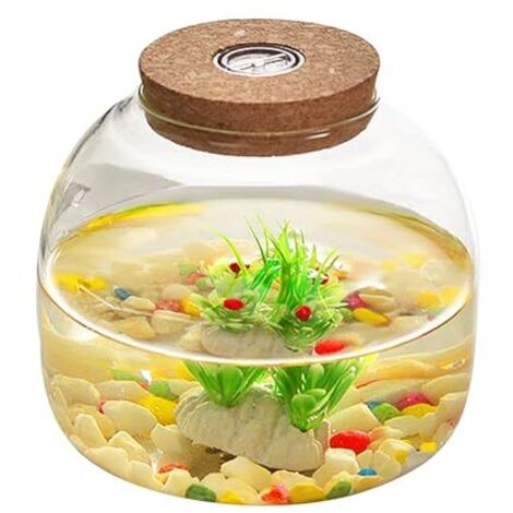 Terrarium en Verre pour Plantes, 1600 ML de Terrarium végétal avec Couvercle de liège, Grand Pot d'ouverture pour Mini Succulent dans Le Paysage, affichages Floraux, Collections d'artisanat et etc.