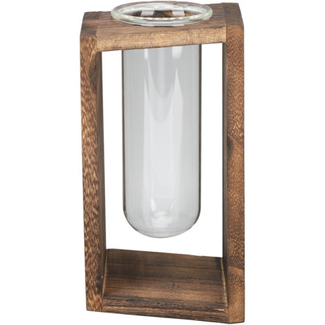 Terrarium en Verre pour Plantes Hydroponiques - Tube à Essai Innovant Artisanal pour Bureau - Décoration Végétale et Grille Carbone Multifonction