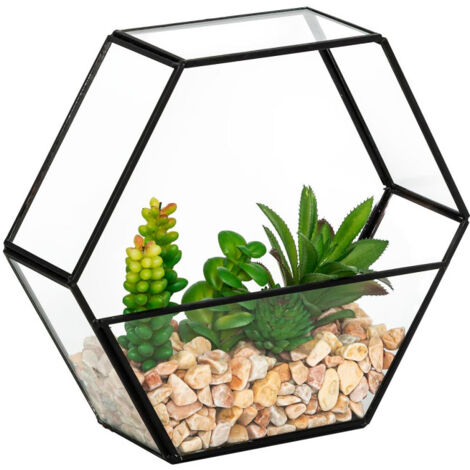 Terrarium Hexagonal en Verre "Pia" 20cm Noir