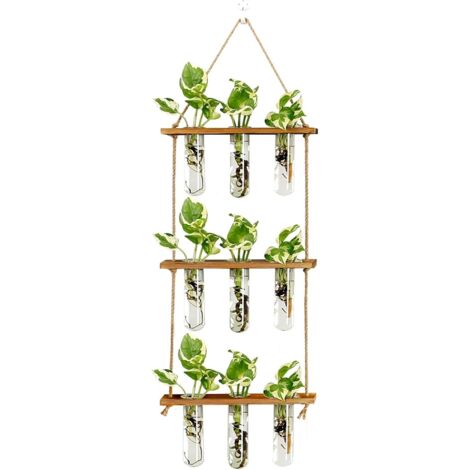 Terrarium mural propagation plantes, support bois avec 9 tubes verre hydroponiques décoration murale maison bureau