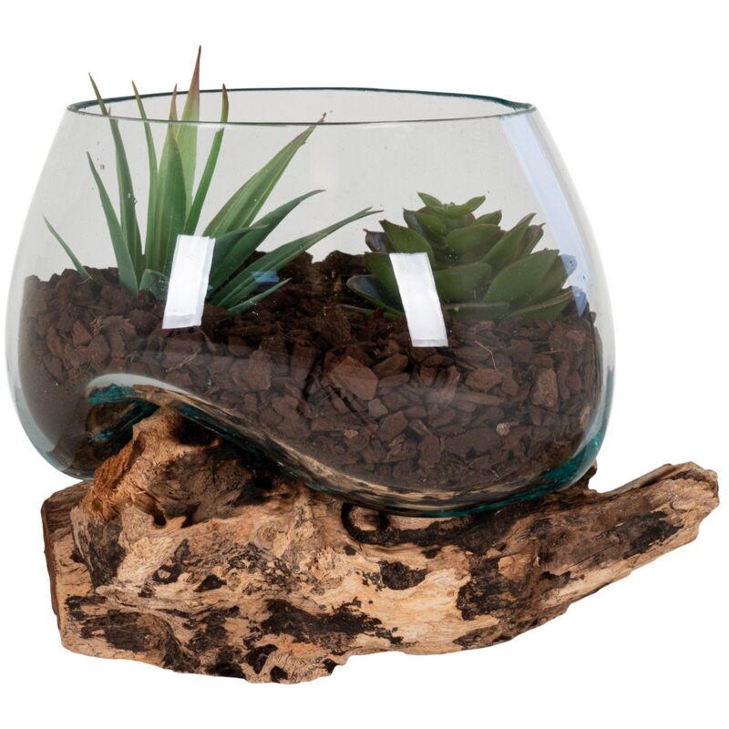 Epikasa - Terrarium San, Verre, Bois, Métal, Marron, 15x15x15 cm