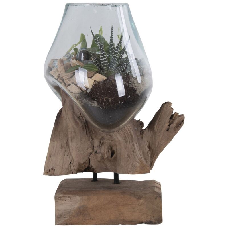 Epikasa - Terrarium San, Verre, Bois, Métal, Marron, 15x18x25 cm