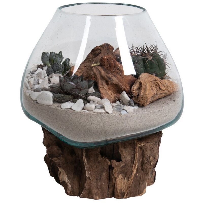 Epikasa - Terrarium San, Verre, Bois, Métal, Marron, 20x18x20 cm