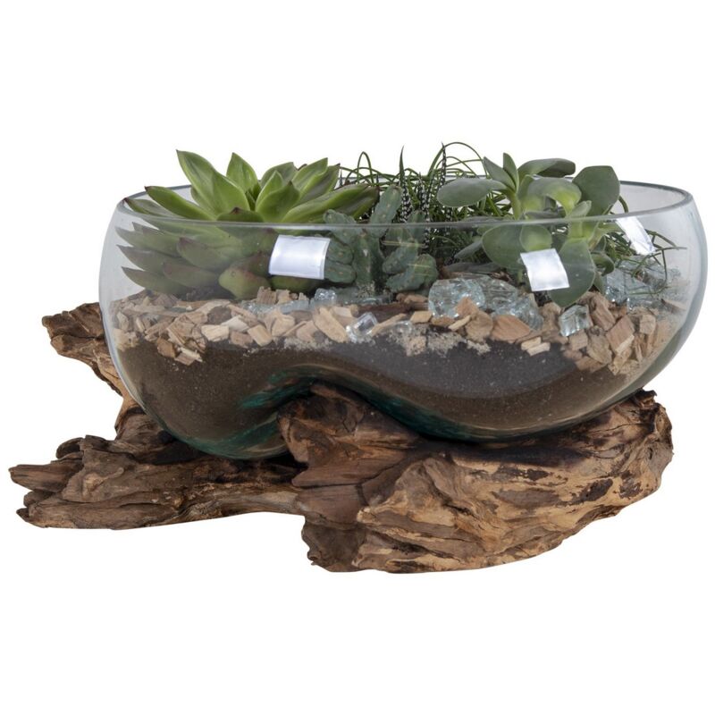 Epikasa - Terrarium San, Verre, Bois, Métal, Marron, 26x26x20 cm