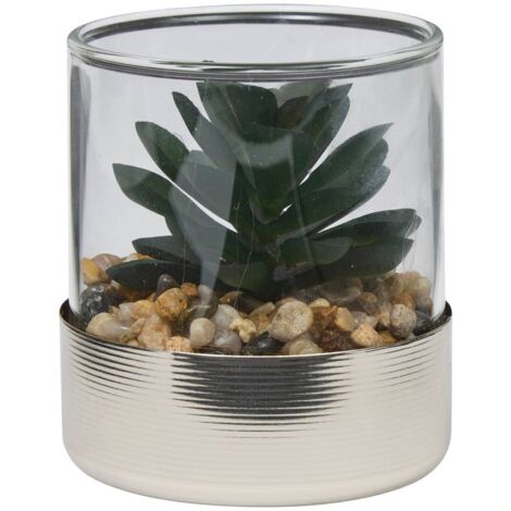 Terrarium Sky 8,5x8cm -